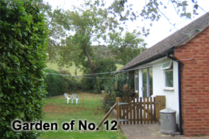 garden 12